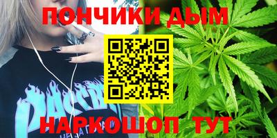 индика Абинск