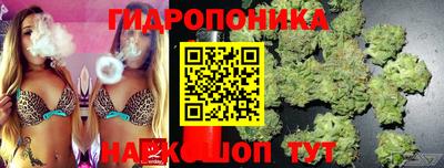 индика Абинск