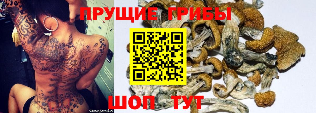 Алейск  Галлюциногенные грибы Magic Shrooms  как найти закладки  Вход с VPN 