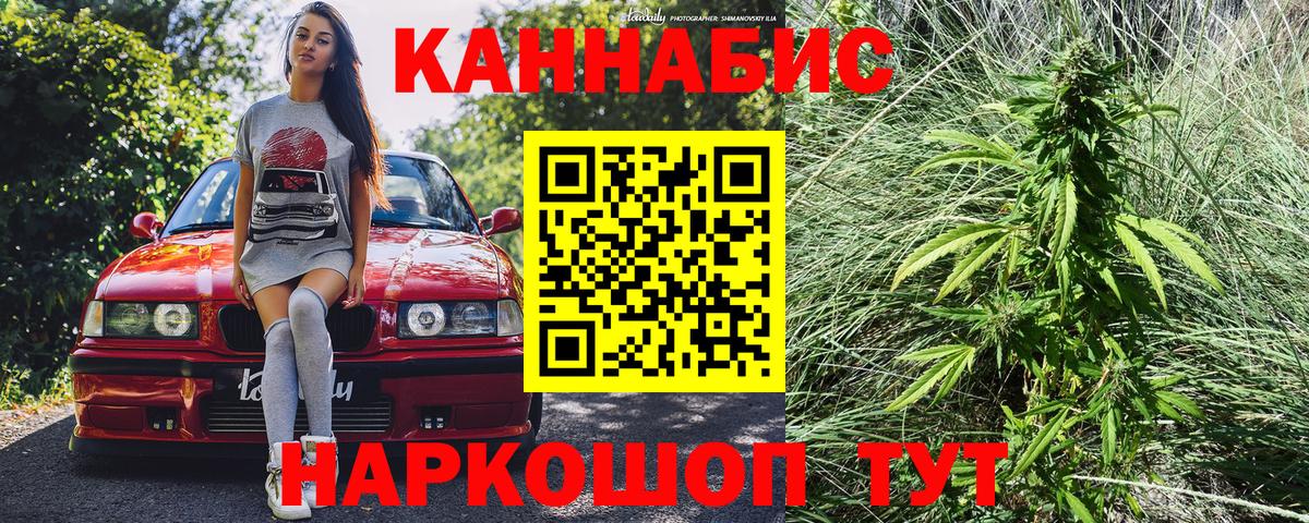 Шишки марихуана индика  Вход с VPN  Алейск  Каннабис план  Конопля сатива 